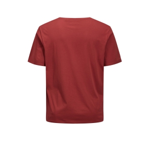 BRICK RED
