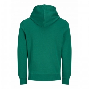 VERDANT GREEN