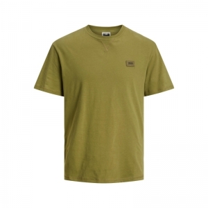 OLIVE BRANCH