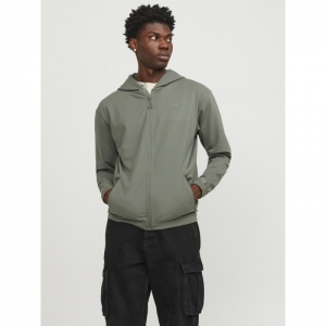 AGAVE GREEN