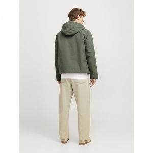 AGAVE GREEN