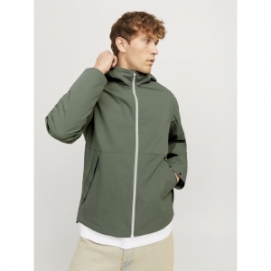 AGAVE GREEN
