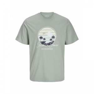 ICEBERG GREEN